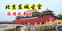 扣逼黄片污中国北京-东城古宫旅游风景区